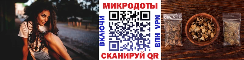 даркнет сайт  Яхрома  гидра ТОР  Псилоцибиновые грибы мухоморы 
